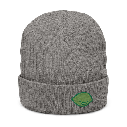 FRAF "Key Lime" Embroidered Knit Beanie